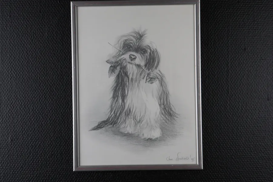 349 Teckning på hund, signerad "Anna Saxkiwq 95"